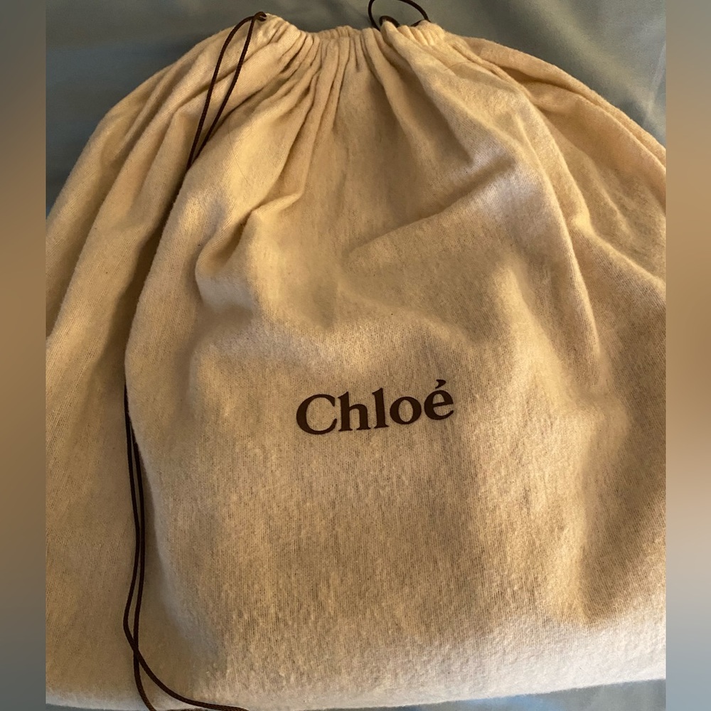 โญ๏ธHPโญ๏ธChloรฉ "Edith" satchel bag in buffalo leather๐ - Picture 12 of 13